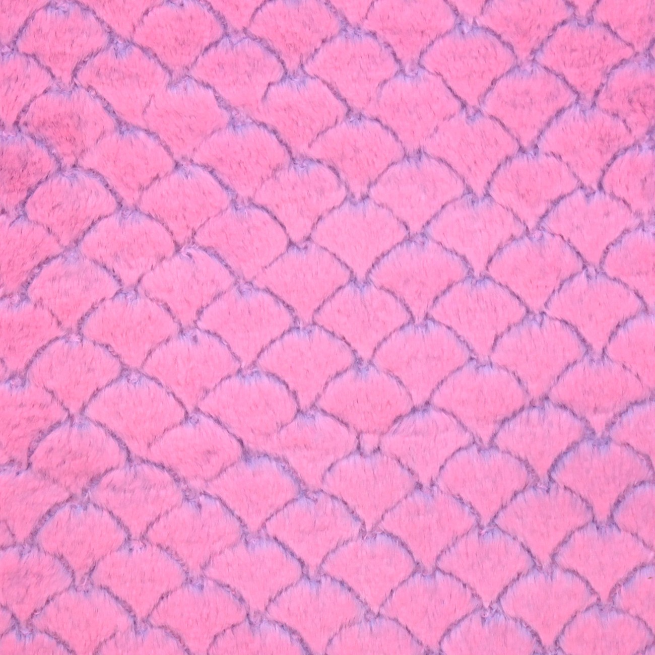 Product Image For PASTELNEONPURPLEPASTELNEONPINK.
