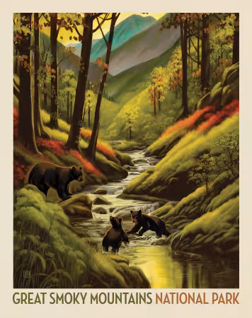 National Parks Great Smoky Mountains National Park 36in x 43in Poster Panel