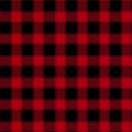 Red Buffalo Check Softie Minky