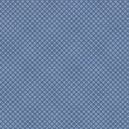 Blue Gingham Forever