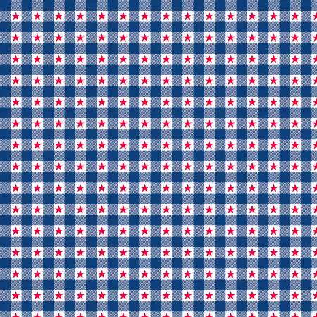 Patriotic Minis Star Plaid