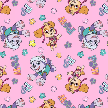 Team Skye & Everest Pink Paw Patrol
