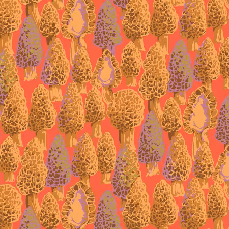 Morel Coral