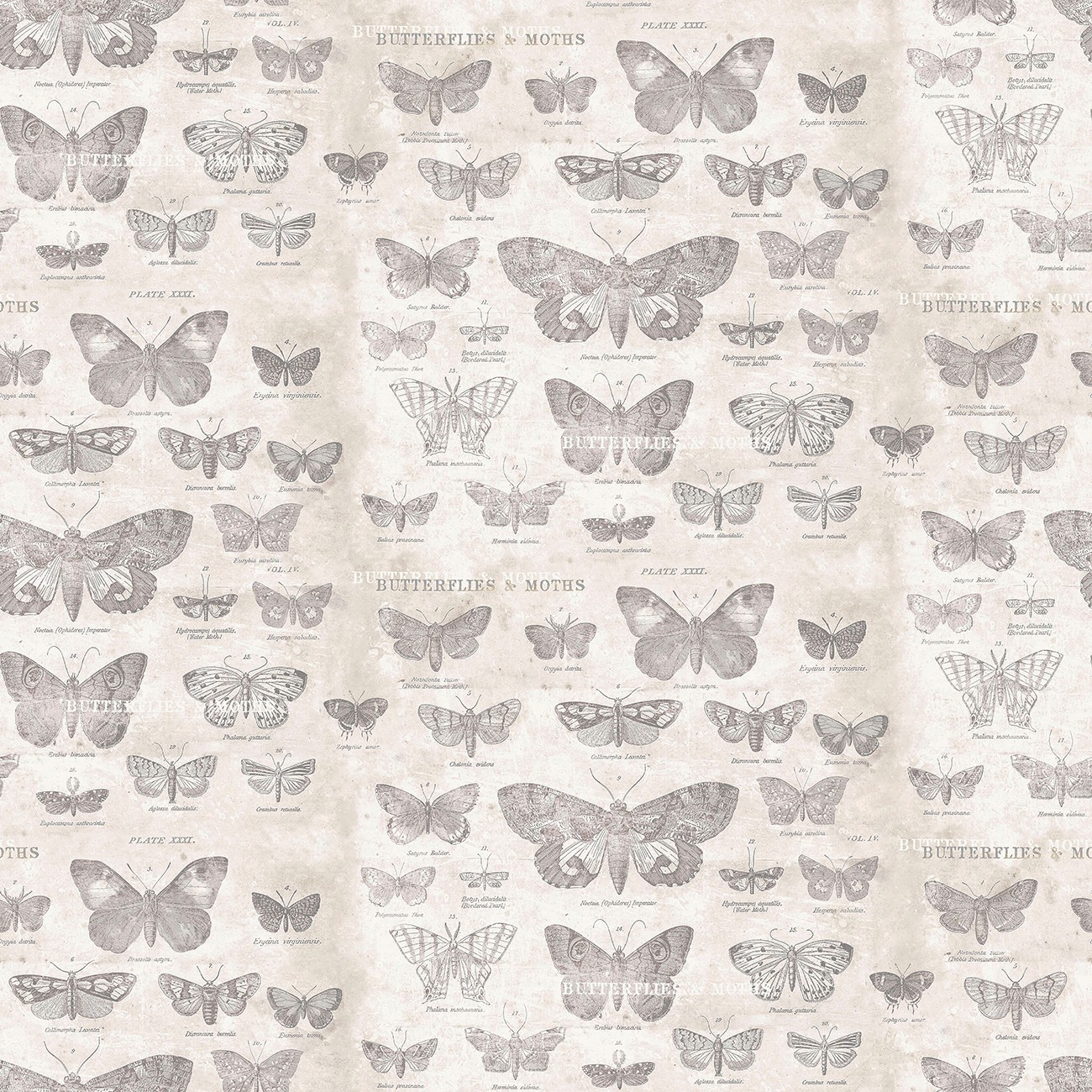 Product Image For PWTH004-PARCHMENT.