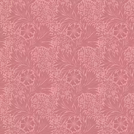 Marigold - Rose