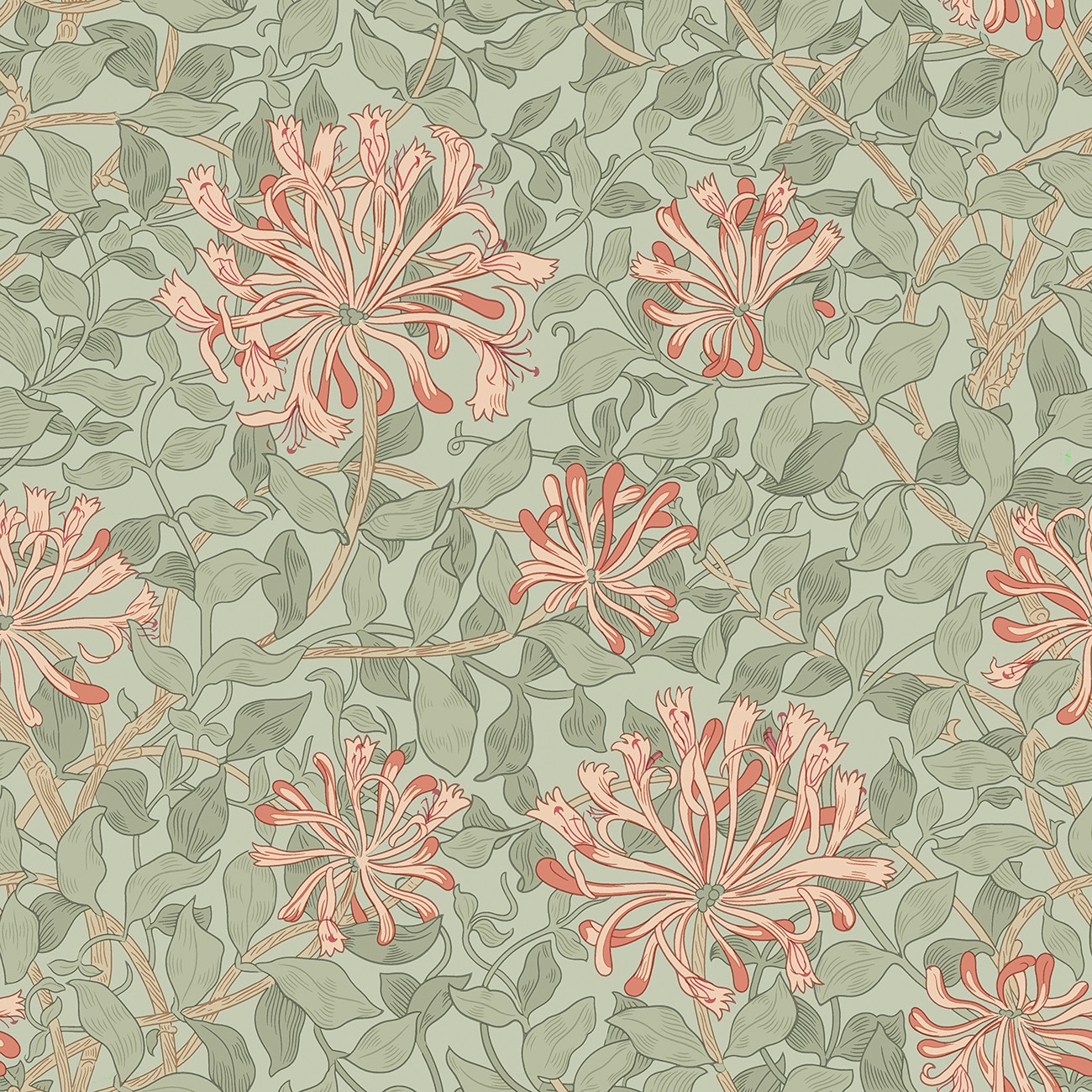 Product Image For QBWM016-CORAL.
