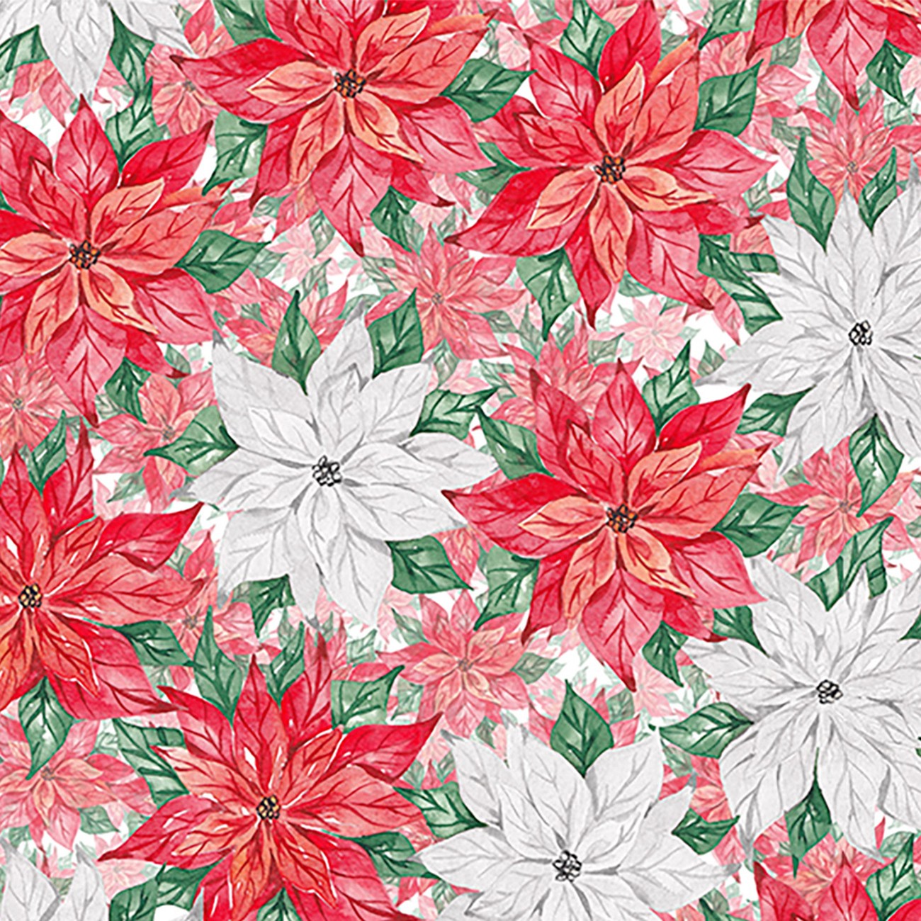 Product Image For QCCKNOELBLOSSOMMULTI.
