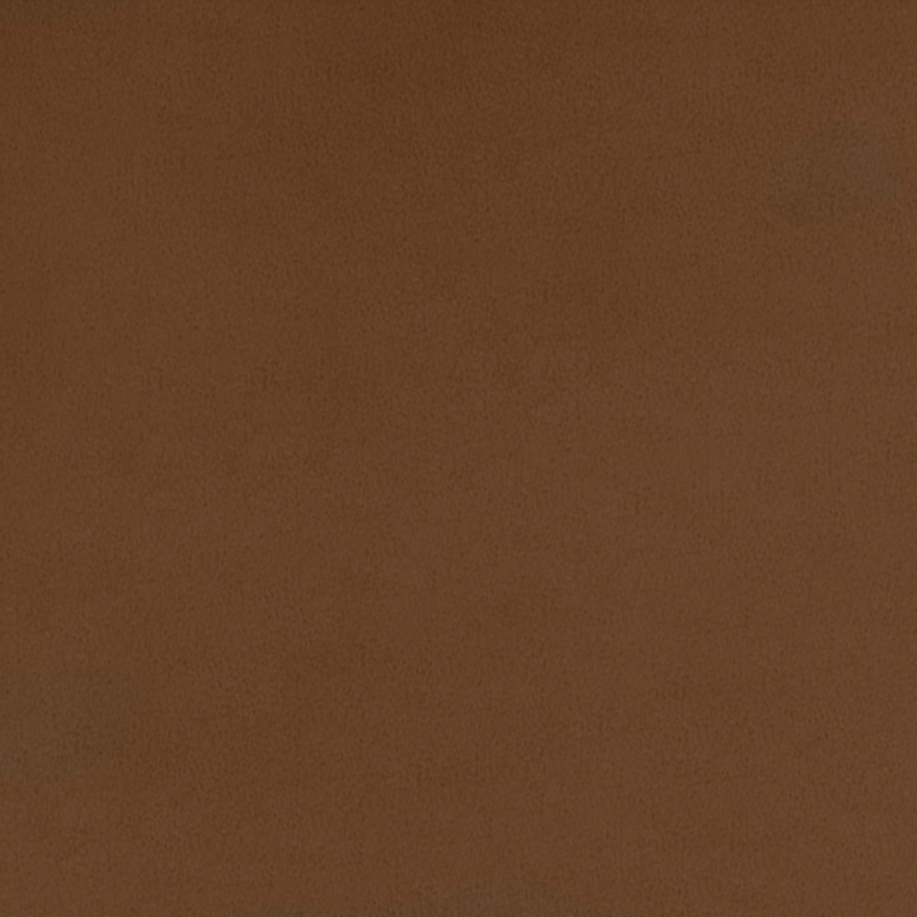 Product Image For QCTRUFFLE.