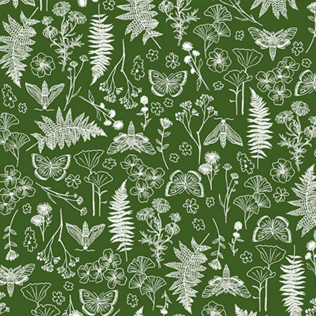 Product Image For QCWBFAEGROVECACTUS.