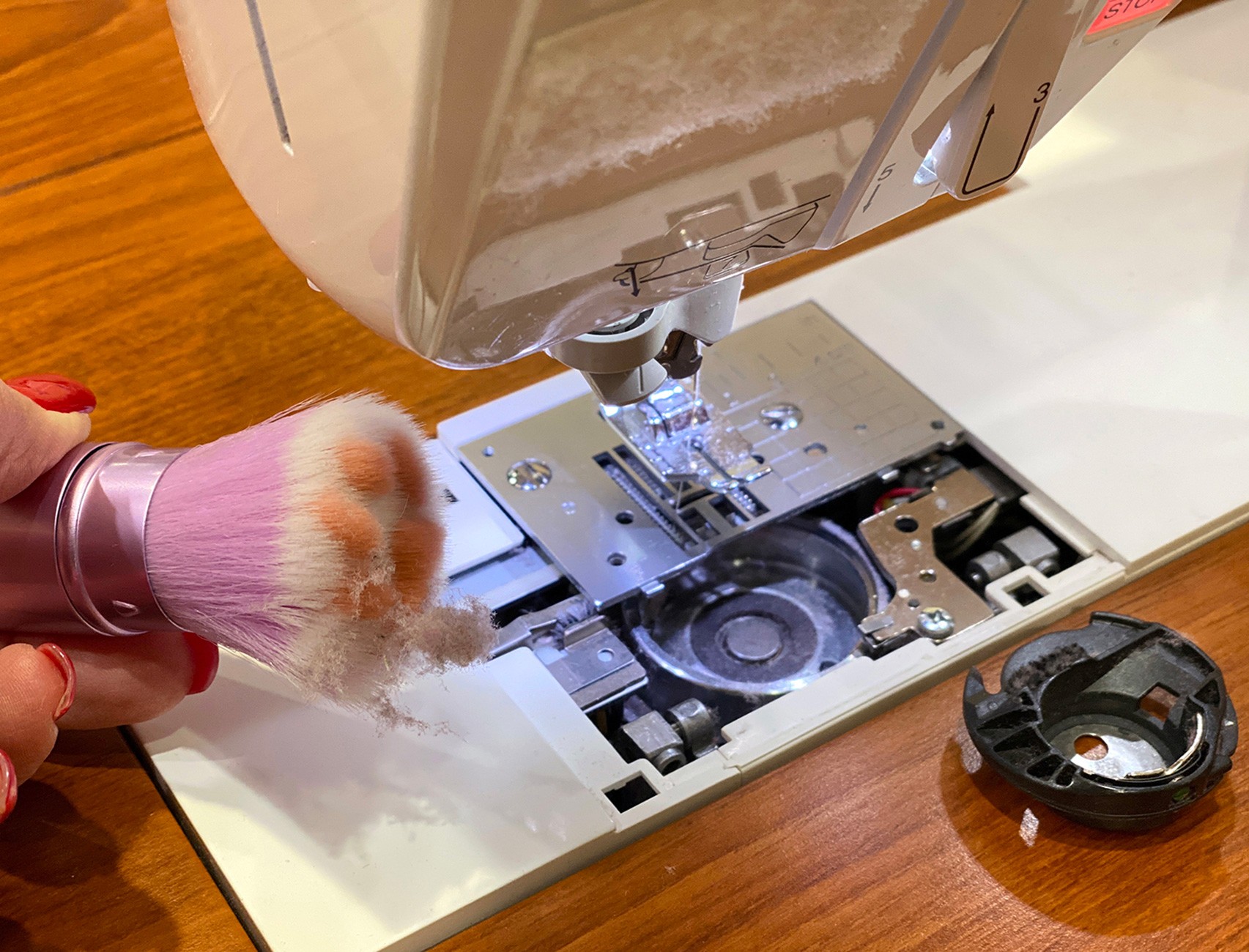 The Cat Paw Lint Brush