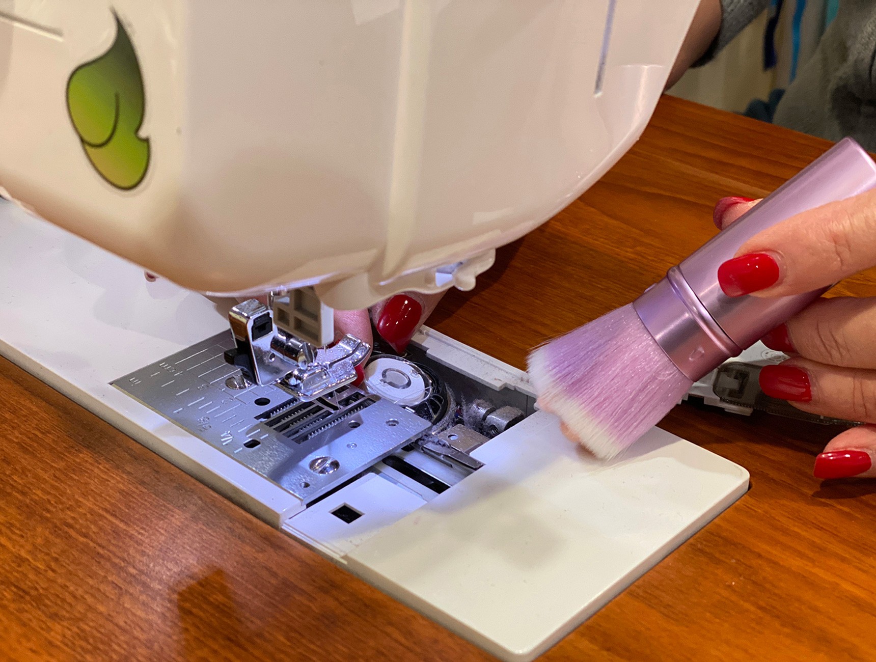 The Cat Paw Lint Brush