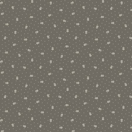 Grey Daisy
