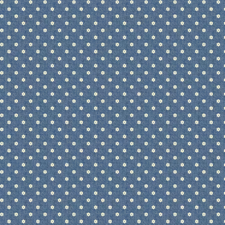 Denim Ditsy