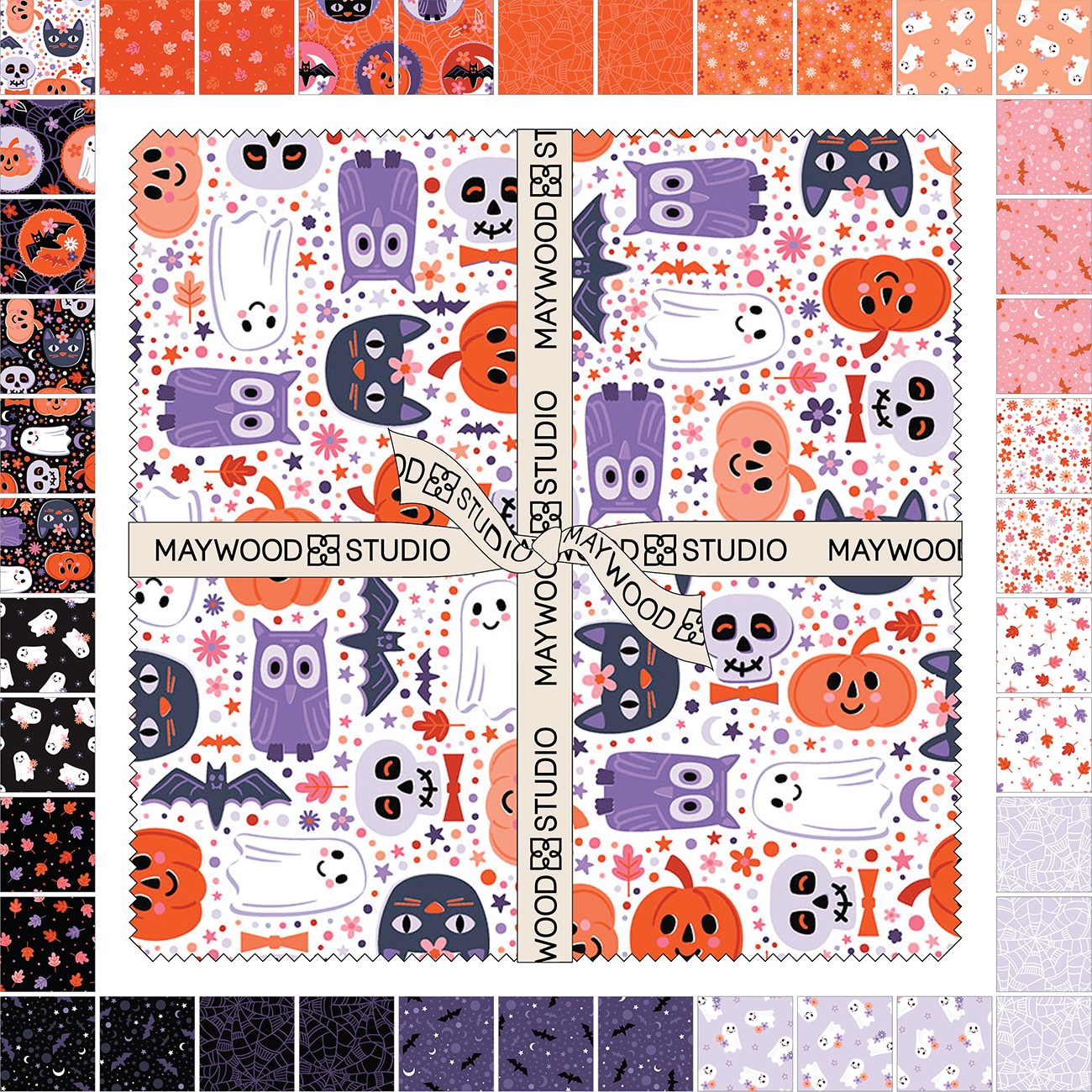Product Image For SQ-MASTRSW.