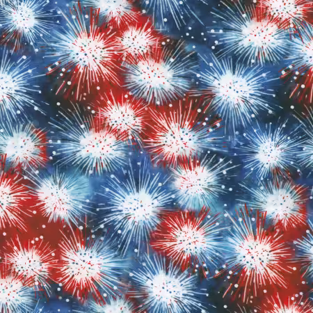 Packed Fireworks Celebration