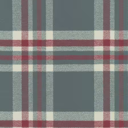 Plaid Dolphin Flannel