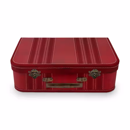 Lori Holt On-the-Go Project Case