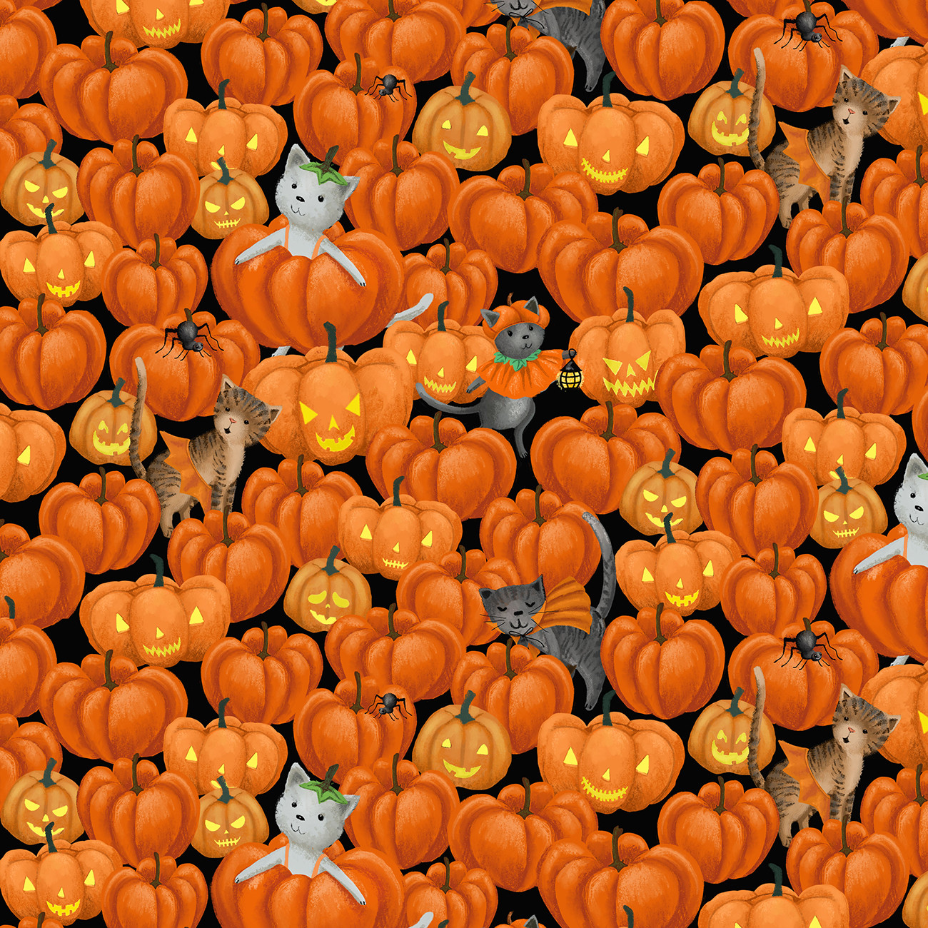 Tangerine Freak Meowt