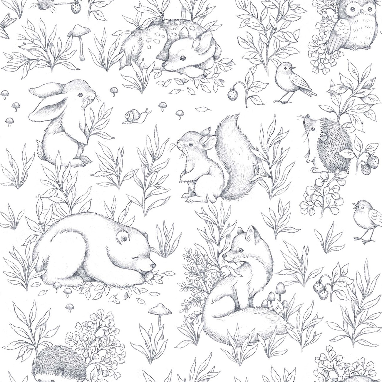 Product Image For ST-DNS3666IRON.