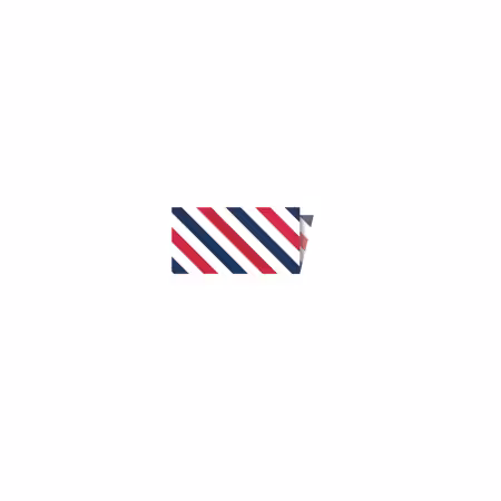 Riley Blake Designs Single-Fold Quilt Binding 1/8 Stripe Patriotic