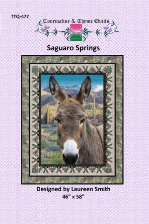 Saguaro Springs