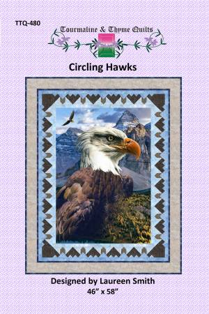 Circling Hawks