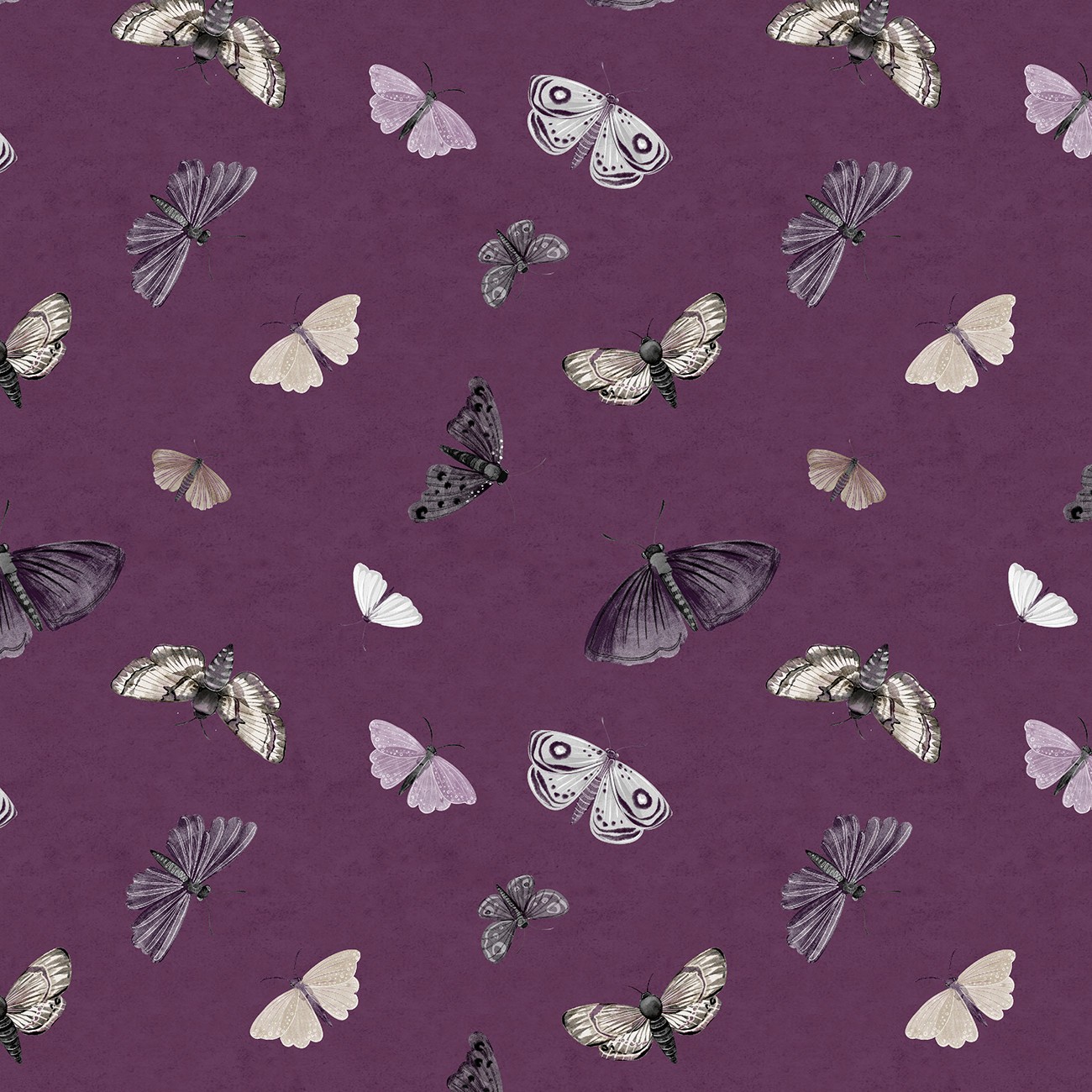 Product Image For W100-061-696.