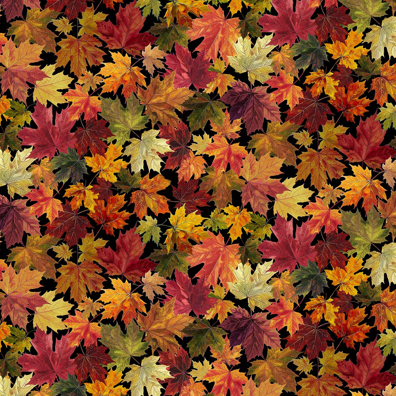 Product Image For WBX13261-BLAC.