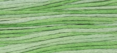 Embroidery Floss Classic Collection Cactus 5yd