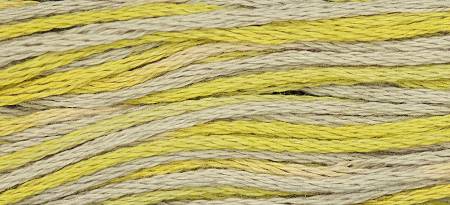 Embroidery Floss Classic Collection Citron 5yd