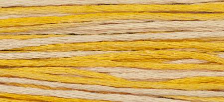 Embroidery Floss Classic Collection Mimosa 5yd