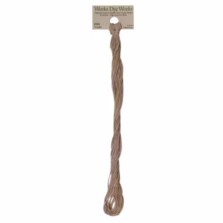 Embroidery Floss Classic Collection Thistle 5yd