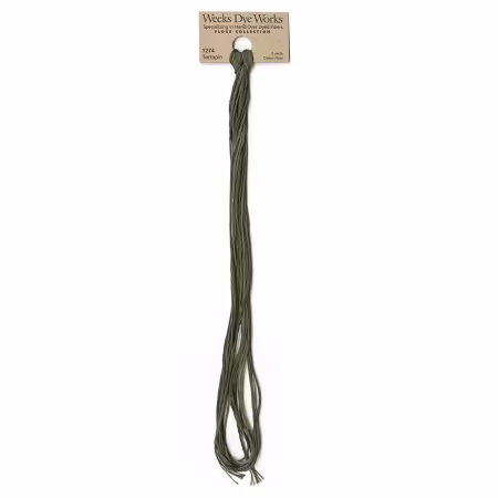 Embroidery Floss Terrapin