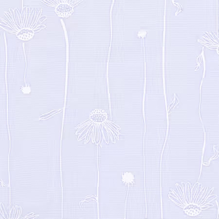 Cone Flowers Lavender