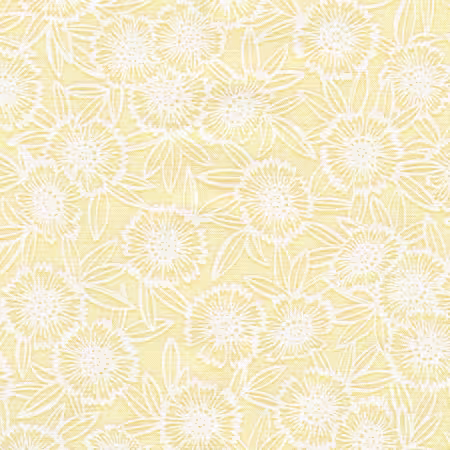 Daisies Sunshine