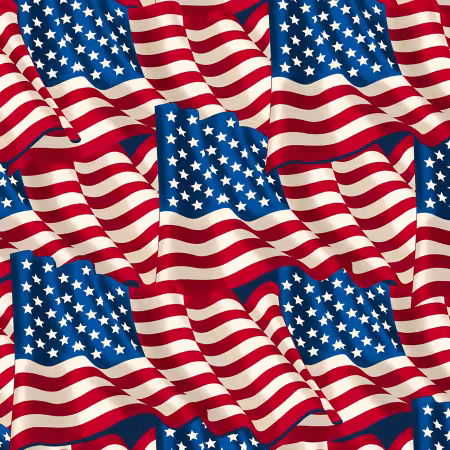 American Flags Winter Fleece Anti-pill Print
