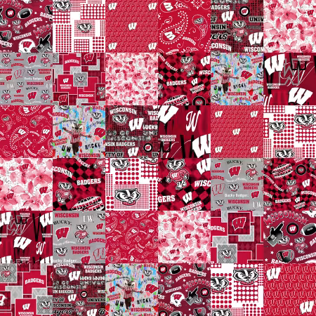 Wisconsin Collegiate Cheater Quilt