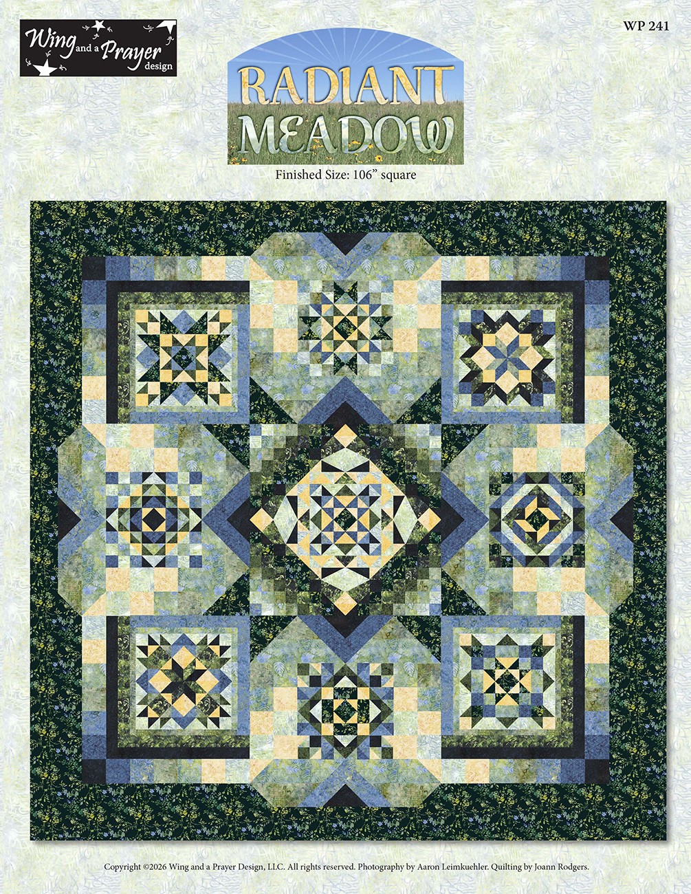 Product Image For WP241.