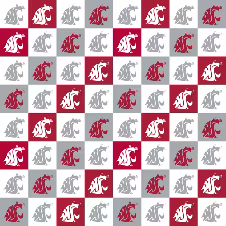 Washington State Cougars Squares Digitally Printed