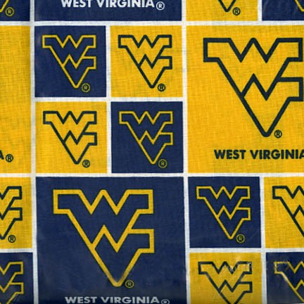 Blue Sykel Enterprises NCAA-West Virginia Mountaineers College Patch Fleece Fabric 