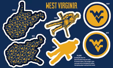 West Virginia Minky Pillow Project Panel 36in x 60in