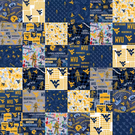 West Virginia Collegiate Cheater Quilt