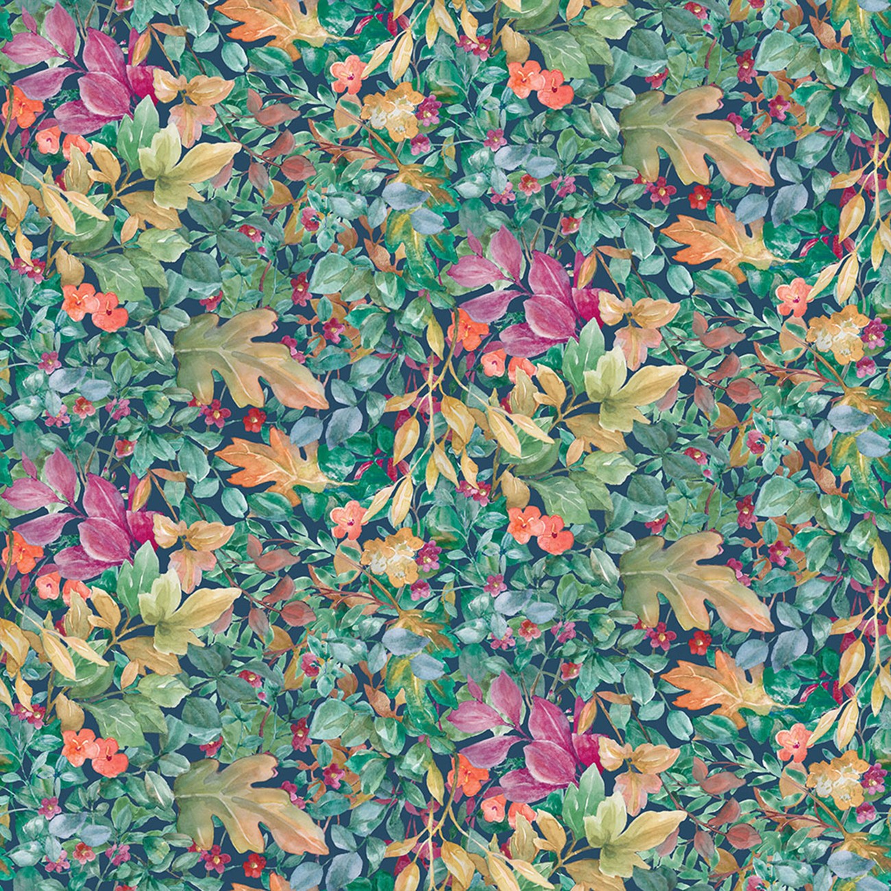 Product Image For Y4906-55.