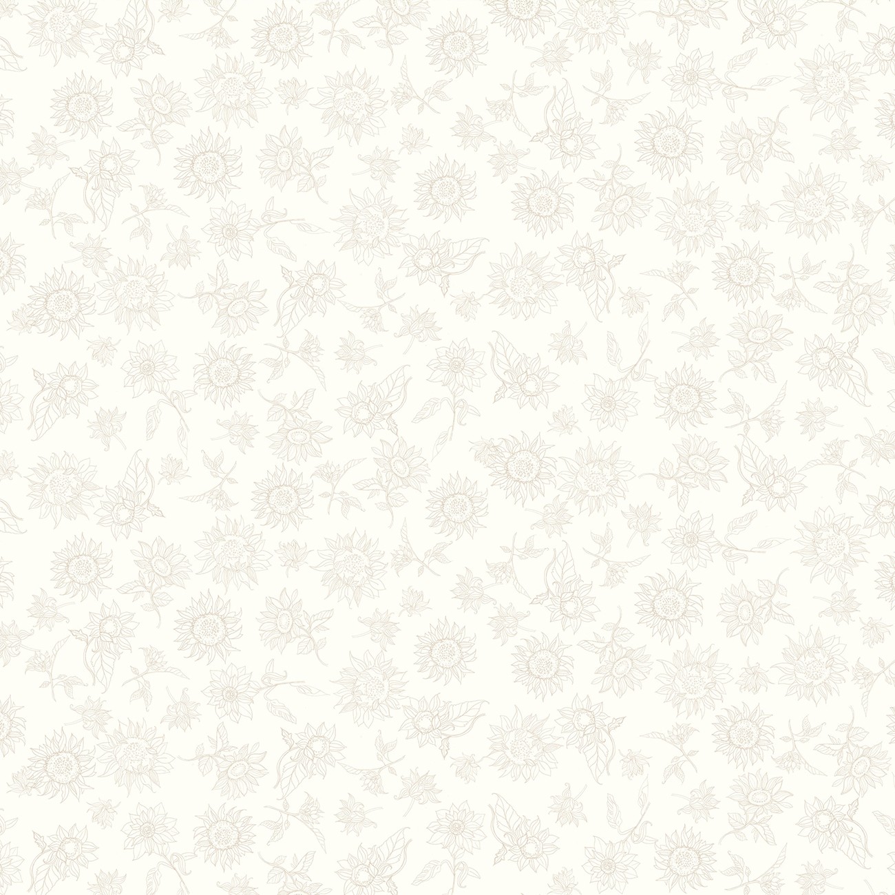 Product Image For Y4955-2.