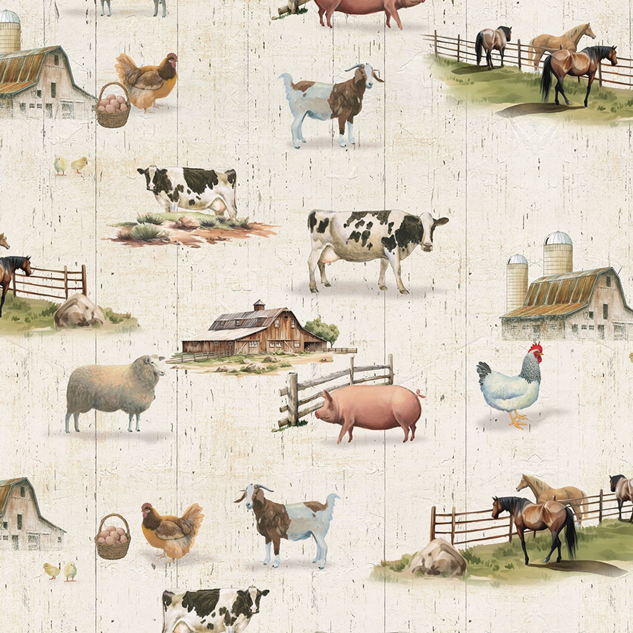Product Image For Y5054-57.