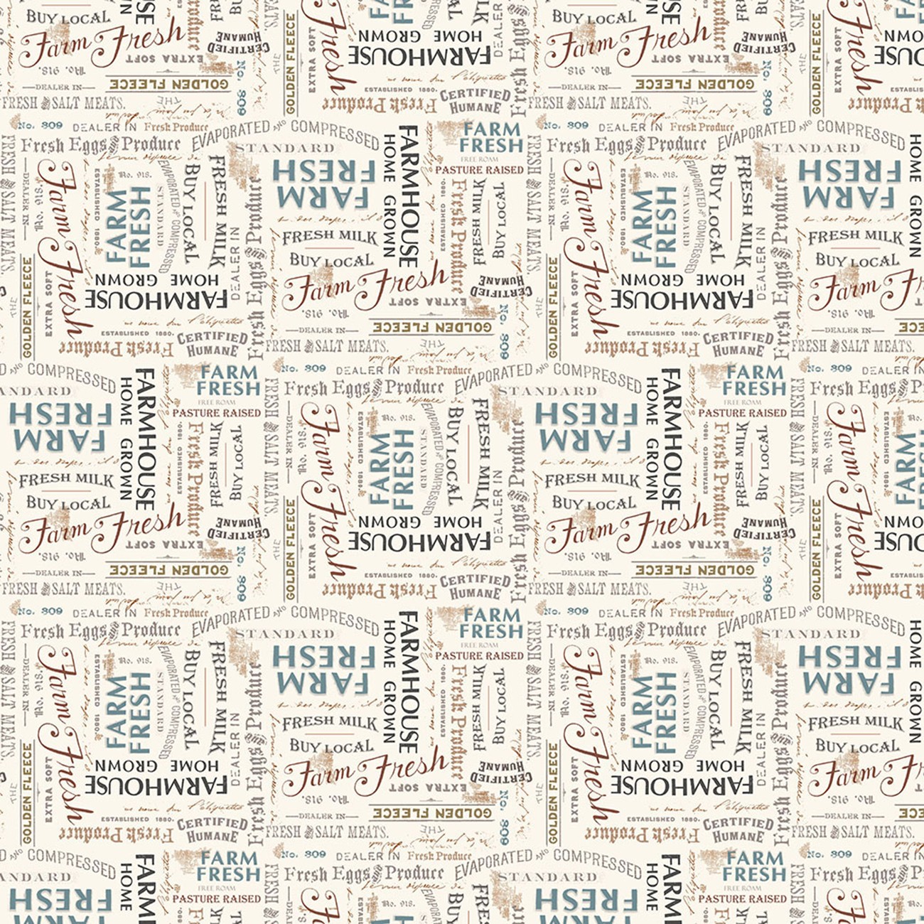 Product Image For Y5057-55.
