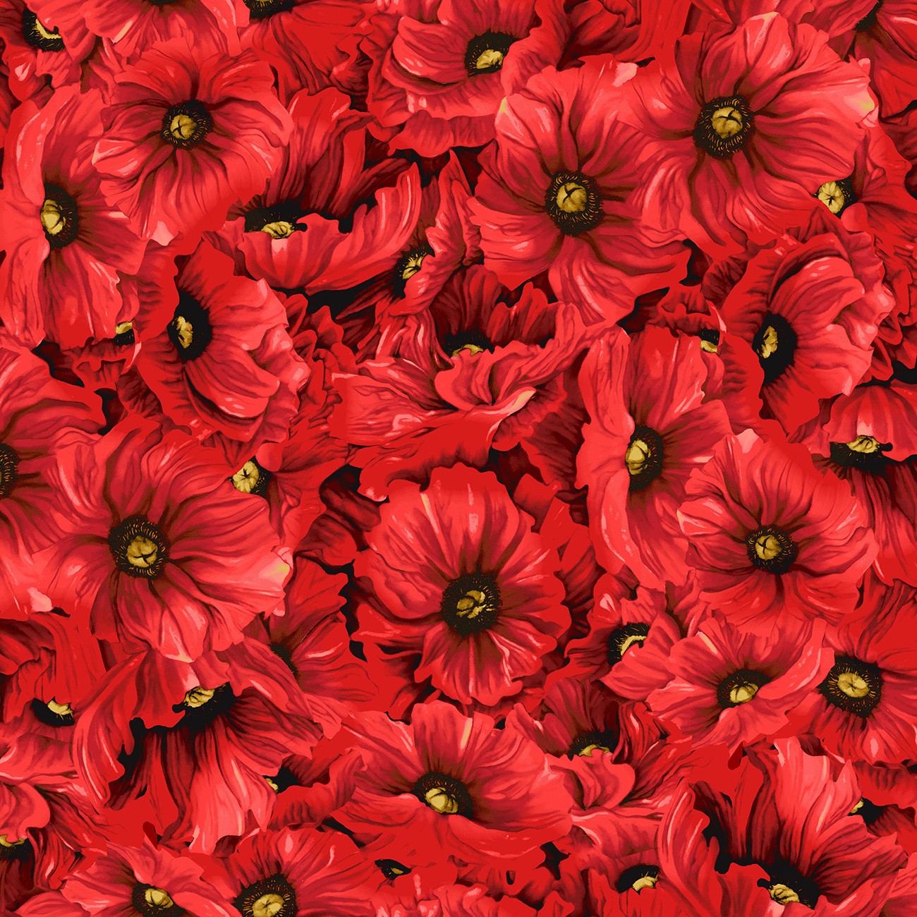 Product Image For Y5086-82.