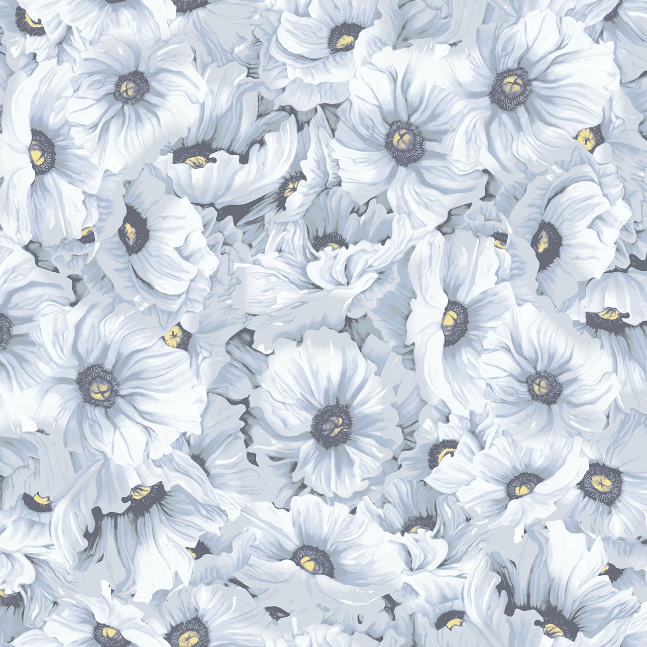 Product Image For Y5086-87.