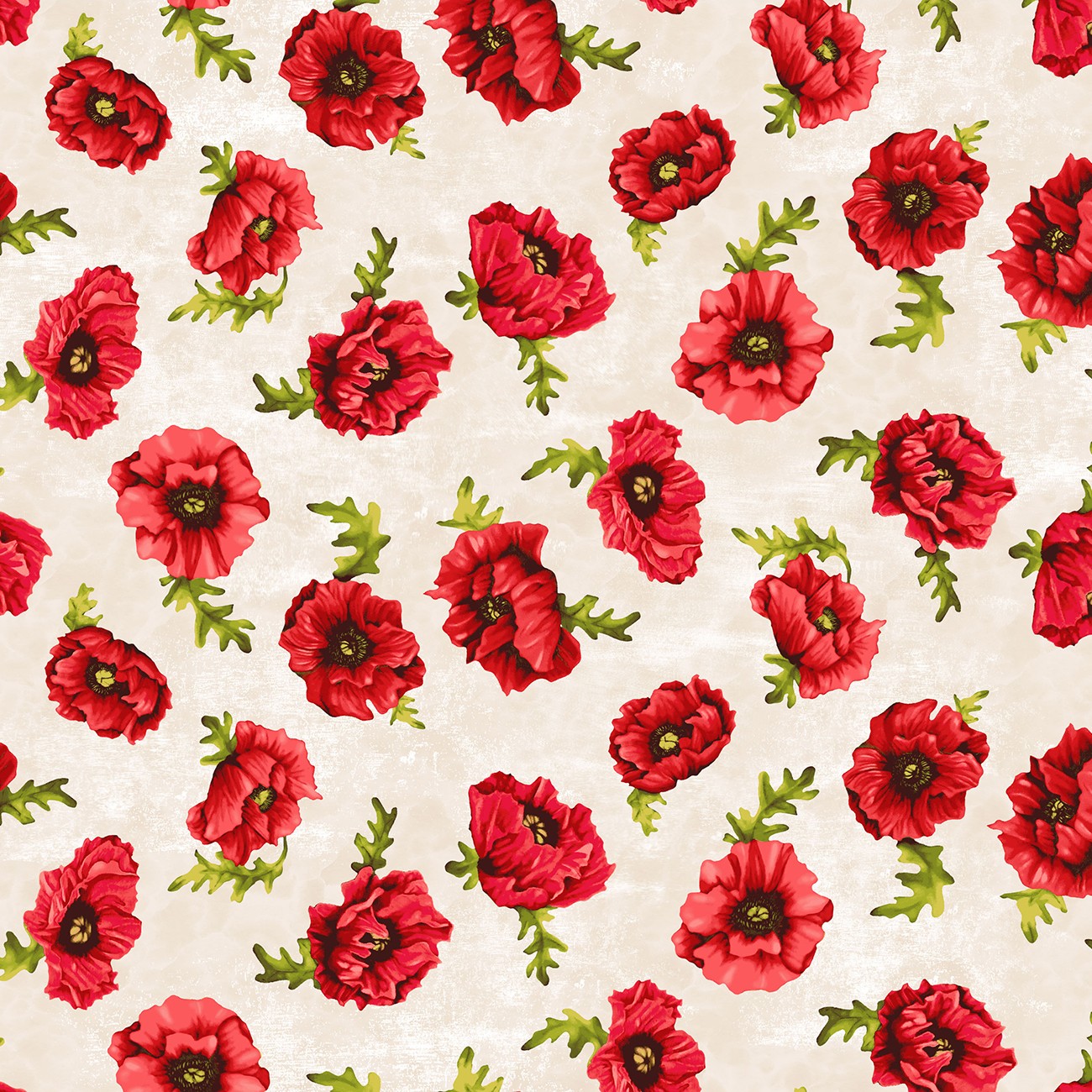 Product Image For Y5087-57.