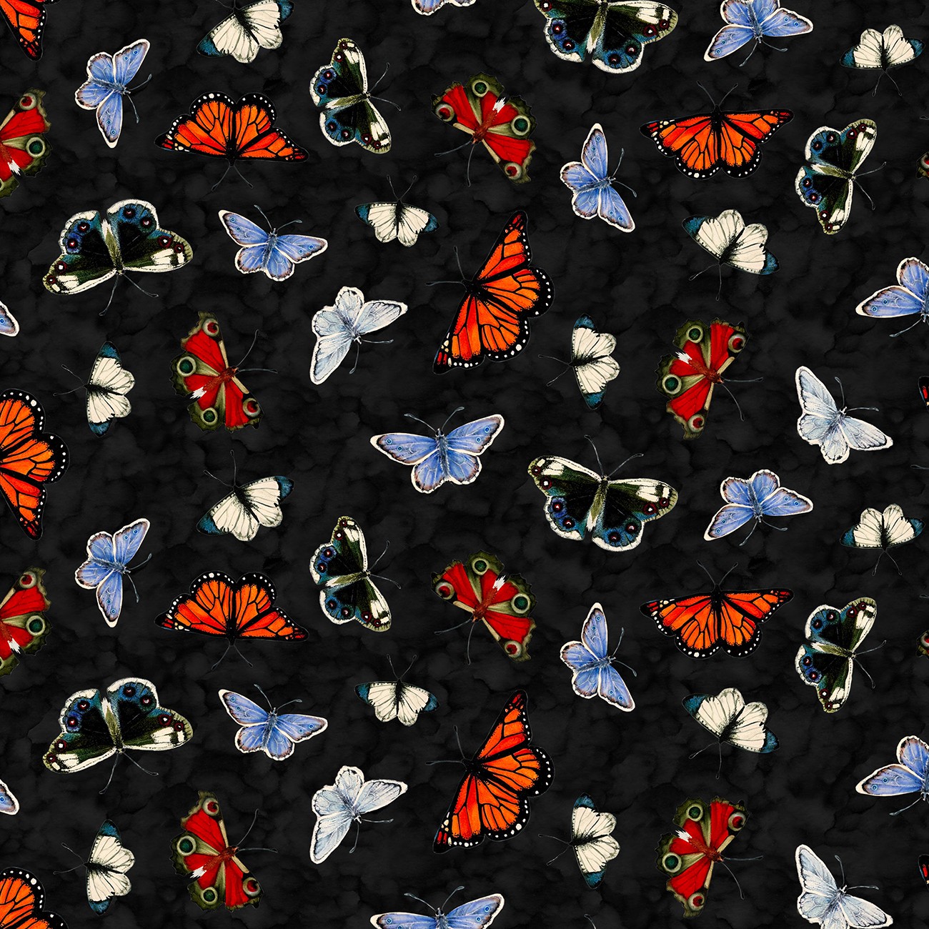 Product Image For Y5088-3.